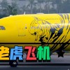 PP电子三只老虎官方网站全新上线畅享精彩游戏体验
